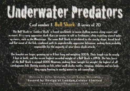 2018 Design at London Colour Limited Underwater Predators #3 Bull Shark Back