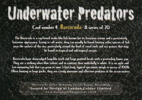 2018 Design at London Colour Limited Underwater Predators #4 Barracuda Back