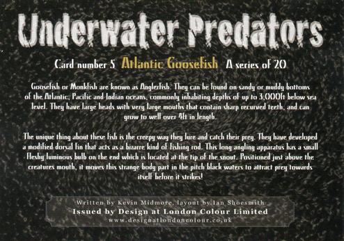 2018 Design at London Colour Limited Underwater Predators #5 Atlantic Goosefish Back