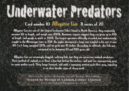 2018 Design at London Colour Limited Underwater Predators #10 Alligator Gar Back