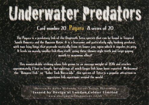 2018 Design at London Colour Limited Underwater Predators #20 Pagara Back