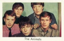 1967 TV67 Popbilder (Dutch Gum Unnumbered) #NNO The Animals Front