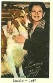 1967 TV67 Popbilder (Dutch Gum Unnumbered) #NNO Lassie – Jeff Front