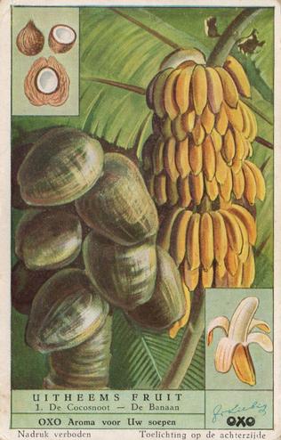 1952 Liebig/Oxo Uitheems Fruit (Exotic Fruits) (Dutch Text) (F1541, S1537) #1 De Cocosnoot - De Banaan Front