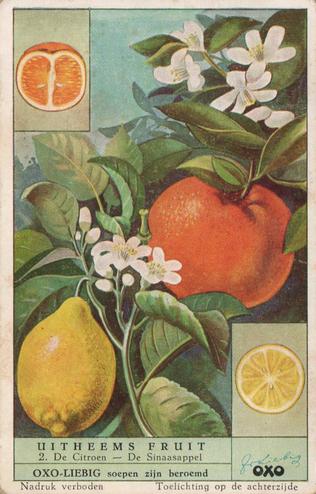 1952 Liebig/Oxo Uitheems Fruit (Exotic Fruits) (Dutch Text) (F1541, S1537) #2 De Citroen - De Sinaasappel Front