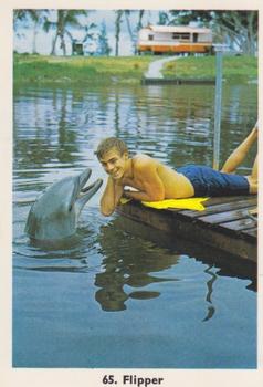 1966 Monty Gum TV Shows (Series 1) #65 Flipper Front