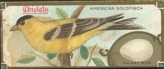 1930 Chiclets Bird Studies (E225) #NNO American Goldfinch Front
