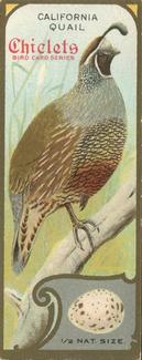 1930 Chiclets Bird Studies (E225) #NNO California Quail Front