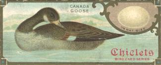 1930 Chiclets Bird Studies (E225) #NNO Canada Goose Front