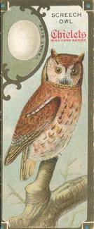 1930 Chiclets Bird Studies (E225) # NNO Screech Owl Front