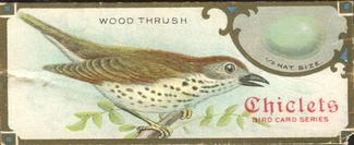 1930 Chiclets Bird Studies (E225) #NNO Wood Thrush Front
