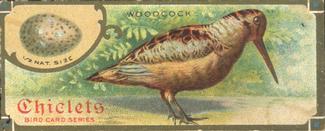 1930 Chiclets Bird Studies (E225) # NNO Woodcock Front