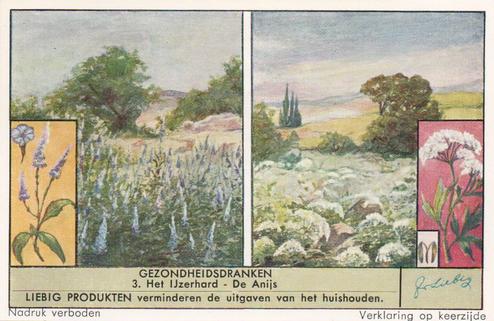 1953 Liebig Gezondheidsdranken (Trees and their blossom) (Dutch Text) (F1577, S1579) #3 Het Ijzerhard - De Anijs Front