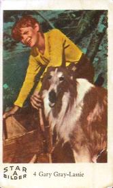 1962 Dutch Gum Star Bilder A #4 Gary Gray / Lassie Front
