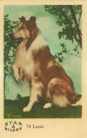1962 Dutch Gum Star Bilder A #74 Lassie Front