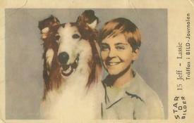 1963 Dutch Gum Star Bilder D #15 Jeff - Lassie Front