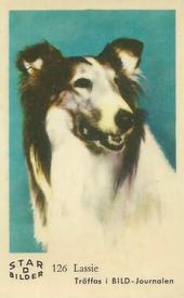 1963 Dutch Gum Star Bilder D #126 Lassie Front