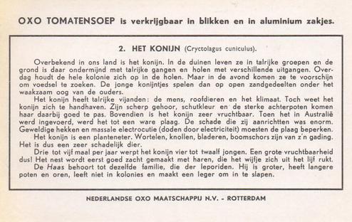 1956 Liebig/Oxo Knaagdieren (Rodents) (Dutch Text) (F1654, S1655) #2 Het Konijn (Cryctolagus cuniculus) Back