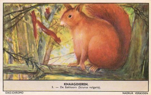 1956 Liebig/Oxo Knaagdieren (Rodents) (Dutch Text) (F1654, S1655) #3 De Eekhoorn (Sciurus vulgaris) Front
