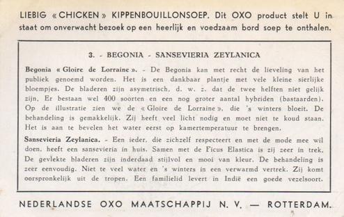 1953 Liebig Kamerplanten (House Plants) (Dutch Text) (F1573, S1574) #3 Begonia - Sansevieria Zeylanica Back