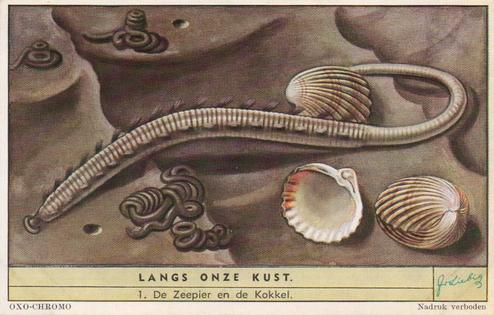 1954 Liebig Langs onze kust (Insects and Molluscs of the shore) (Dutch Text) (F1594, S1592) #1 De Zeepier en de Kokkel Front