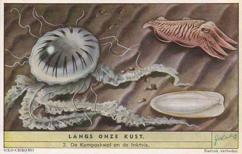 1954 Liebig Langs onze kust (Insects and Molluscs of the shore) (Dutch Text) (F1594, S1592) #2 De Kompaskwal en de Inktvis Front