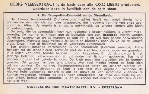 1954 Liebig Langs onze kust (Insects and Molluscs of the shore) (Dutch Text) (F1594, S1592) #3 De Trompetter-Zeenaald en de Strandkrab Back