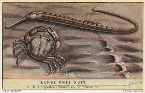 1954 Liebig Langs onze kust (Insects and Molluscs of the shore) (Dutch Text) (F1594, S1592) #3 De Trompetter-Zeenaald en de Strandkrab Front