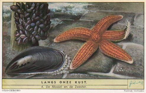 1954 Liebig Langs onze kust (Insects and Molluscs of the shore) (Dutch Text) (F1594, S1592) #4 De Mossel en de Zeester Front