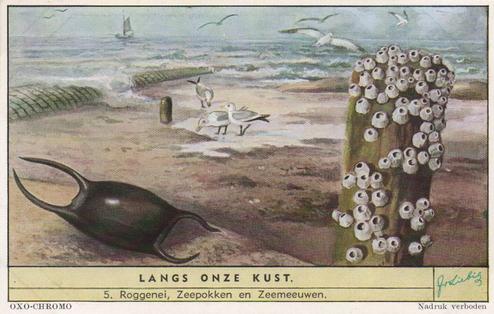 1954 Liebig Langs onze kust (Insects and Molluscs of the shore) (Dutch Text) (F1594, S1592) #5 Roggenei, Zeepokken en Zeemeeuwen Front