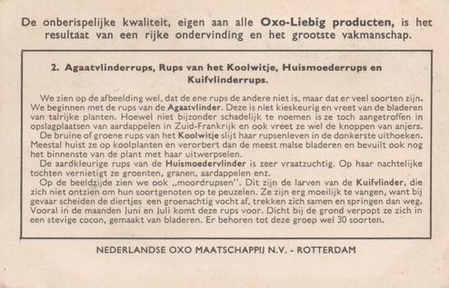 1956 Liebig Rupsen (Caterpillars) (Dutch Text) (F1637, S1639) #2 Agaatvlinderrups , Rups van hetKoolwitje, Huismoederrups en Kuifvlinderrups Back