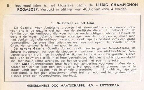 1953 Liebig Antilopen (The Antelope) (Dutch Text) (F1556, S1559) #1 De Gazelle en het Gnoe Back