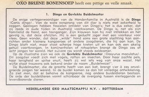 1955 Liebig Australische Zoogdieren (Australian Mammals) (Dutch Text) (F1608, S1612) #1 Dingo en Gevlekte Buidelmarter Back