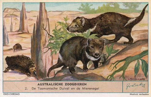 1955 Liebig Australische Zoogdieren (Australian Mammals) (Dutch Text) (F1608, S1612) #2 De Tasmanische Duivel en de Mierenegel Front