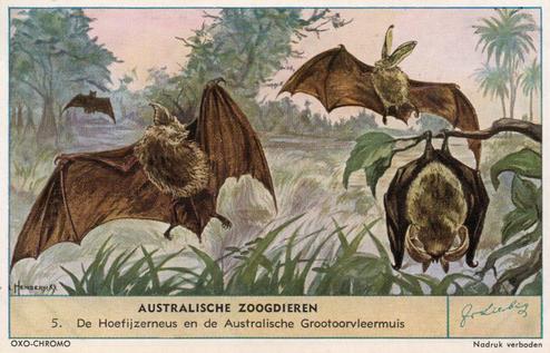 1955 Liebig Australische Zoogdieren (Australian Mammals) (Dutch Text) (F1608, S1612) #5 De Hoefijzerneus en de Australische Grootoorvleermuis Front