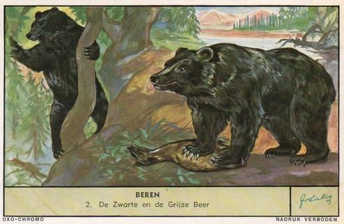 1955 Liebig/Oxo Beren (Bears) (Dutch Text) (F1620, S1620) #2 De Zwarte en de Grijze Beer Front