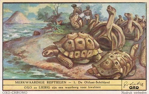 1949 Liebig Merkwaardige reptielen (Reptiles) (Dutch Text) (F1482, S1482) #1 De Olifant-Schildpad Front