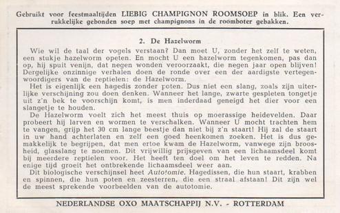 1949 Liebig Merkwaardige reptielen (Reptiles) (Dutch Text) (F1482, S1482) #2 De Hazelworm Back