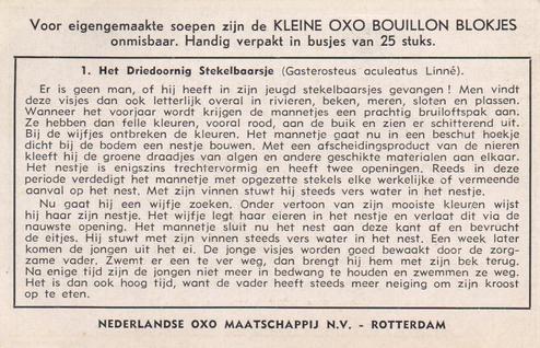 1954 Liebig Vissen, die een next bouwen (Fish and their habitat) (Dutch Text) (F1593, S1597) #1 Het Driedoornig Stekelbaarsje (Gasterosteus aculeatus Linne) Back