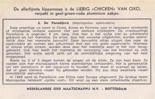 1954 Liebig Vissen, die een next bouwen (Fish and their habitat) (Dutch Text) (F1593, S1597) #2 De Paradijsvis (Macropodus opercularis) Back