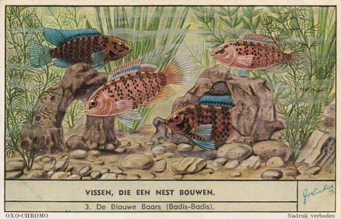 1954 Liebig Vissen, die een next bouwen (Fish and their habitat) (Dutch Text) (F1593, S1597) #3 De Blauwe Baars (Badis-Badis) Front