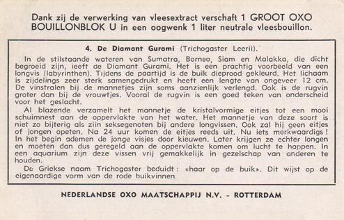 1954 Liebig Vissen, die een next bouwen (Fish and their habitat) (Dutch Text) (F1593, S1597) #4 De diamant Gurami (Trichogaster Leerii) Back