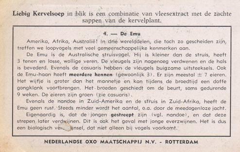 1953 Liebig/Oxo Loopvogels (Flightless Birds) (Dutch Text) (F1570, S1580) #4 De Emu Back