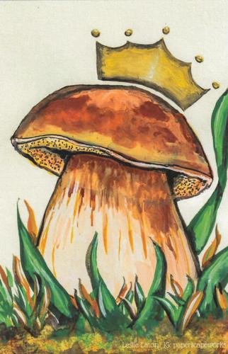 2022 Metchosin Mushrooms #5 King Bolete Front