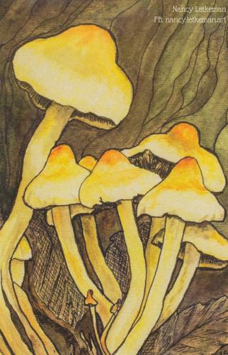 2022 Metchosin Mushrooms #17 Sulphur Tuft Front