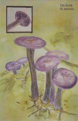 2022 Metchosin Mushrooms #20 Amethyst Laccaria Front