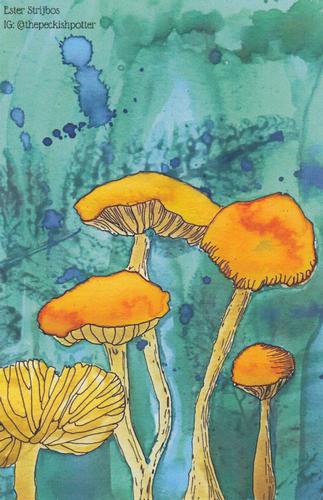 2022 Metchosin Mushrooms #25 Fairy Ring Mushroom Front