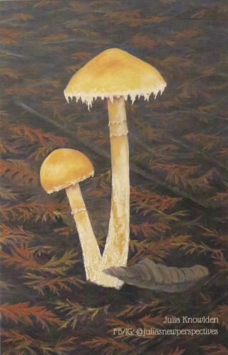 2022 Metchosin Mushrooms #31 Ambiguous Stropharia Front