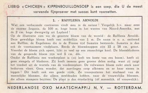 1952 Liebig/Oxo Reuzenbloemen (Large Flowers) (Dutch Text) (F1540, S1536) #1 Rafflesia Arnoldi Back