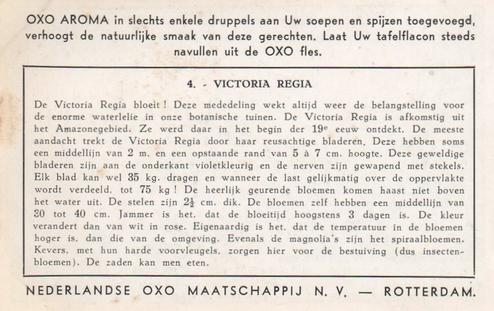 1952 Liebig/Oxo Reuzenbloemen (Large Flowers) (Dutch Text) (F1540, S1536) #4 Victoria Regia Back